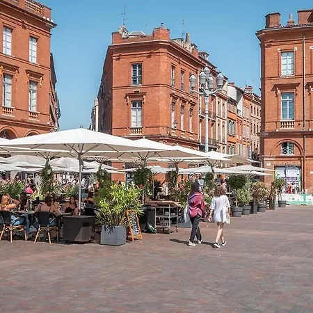 Moderne Renove Centre Ville, Parking Prive Daire Toulouse