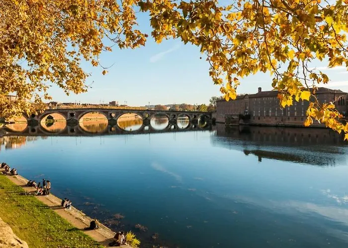Appartement Moderne Rénové Centre Toulouse