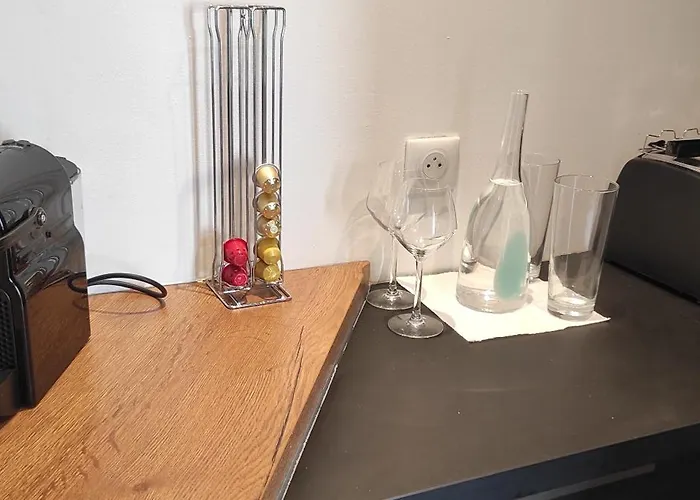 Moderne Renove Centre Ville, Parking Prive Διαμέρισμα *